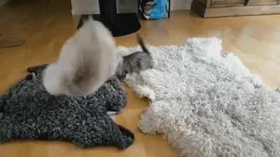 It's good to let off steam!