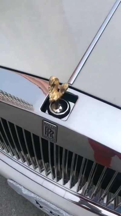 Who would've guessed