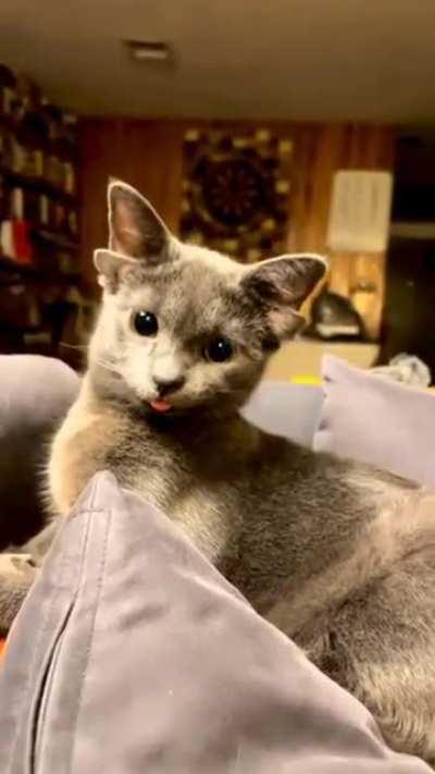 Rare genetic mutation