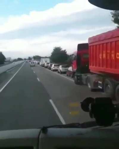 idiot minds think alike