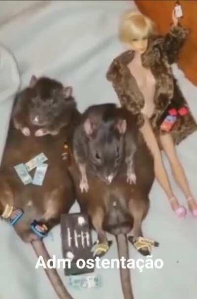 *Danyel Sena nasceu em 1999*// Ratos 1998 😎