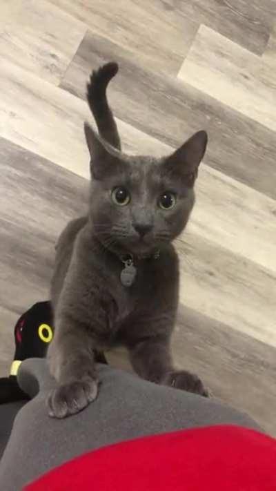 He is such a needy boy 🥺