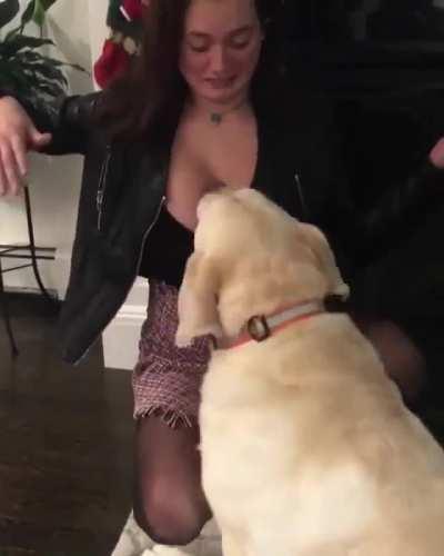 HMC while I let the dog nibble on my leather jacket