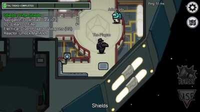 New enderman impostor feature is pretty good