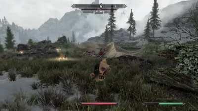 Cleanest Kill Shot Ever