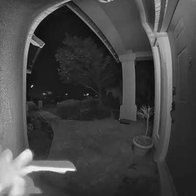 so... my ring camera detected something last night...