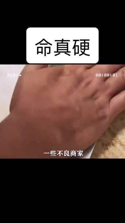 特供VS牛马饲料