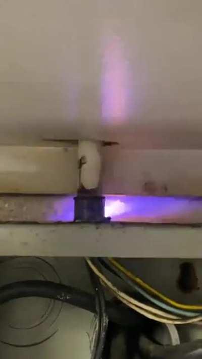 I wasn’t expecting this when the owner said he had a little problem with a circuit