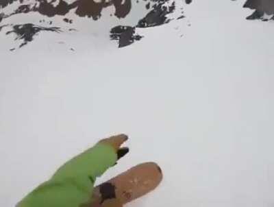 WCGW bringing your dog with you when you go snowboarding