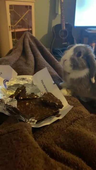 Too quick for his own good! Big fan of Tony’s chocoloney