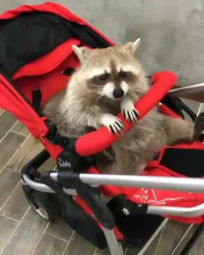 Ma'am, your baby is very cute