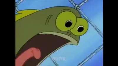 n &eacute; pra fazer sentido