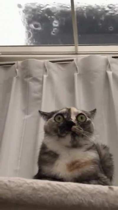 Horrible memories are returning to her