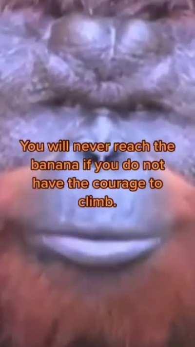 Have courage get banana