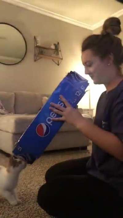 Right in the kisser!!