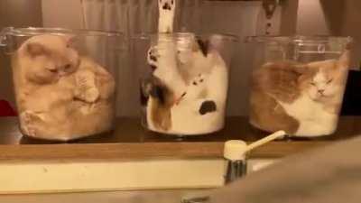 Daily preparation for bedtime.