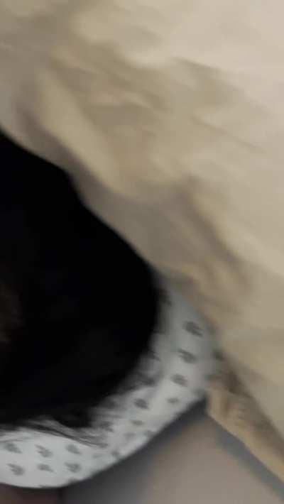 Who wants a ride next?