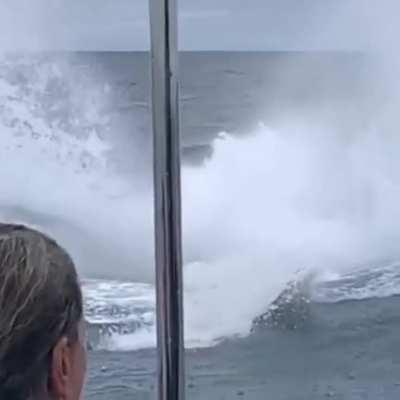 Absolute UNIT Of a Whale Emerges from the Ocean!