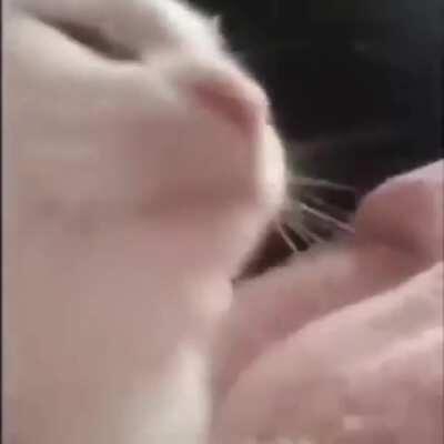 GARSĄ!! GARSĄ ĮSIJUNKIT!!!!