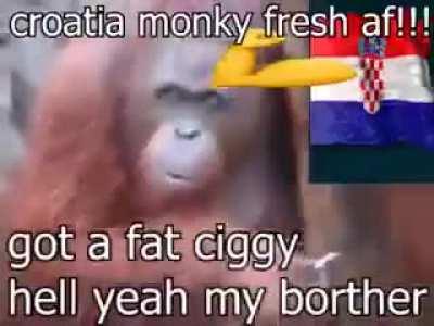 🇸🇰🤢🤮 🇭🇷💪😤