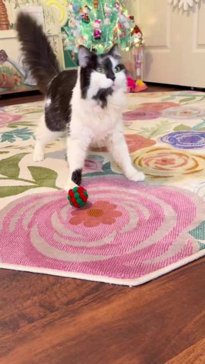 Advent calendar 1, day 21 💚❤️