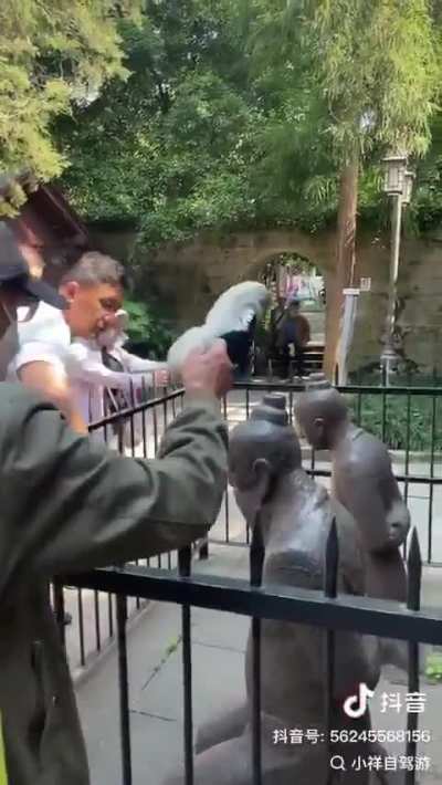 evil zhonnugo beats poor statue