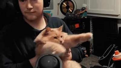 If someone can scugify this but with Moon and Rivulet i will lend you my soul