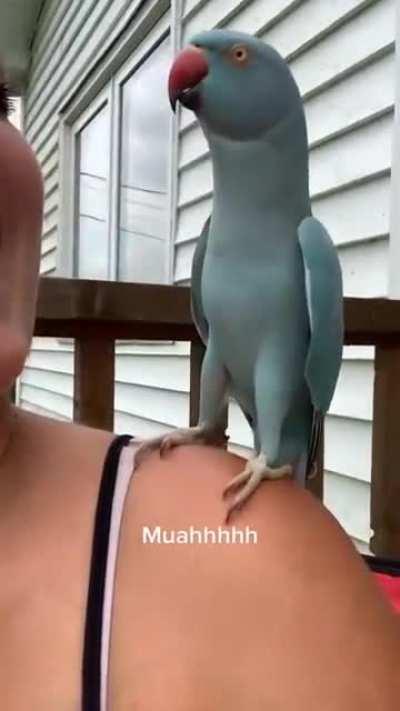 Found this on Insta 😂