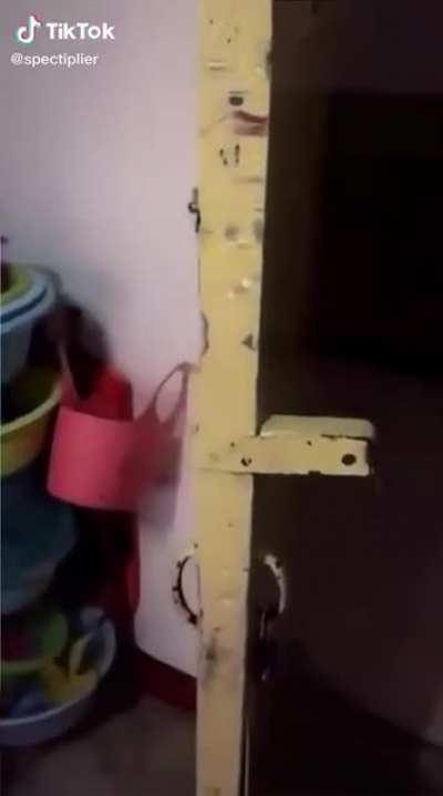 Thought this would fit here