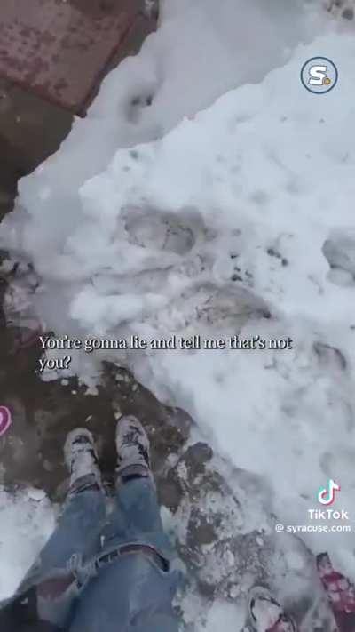 Police accuse 11 year old girl of being a car thief due to her “fitting a description”