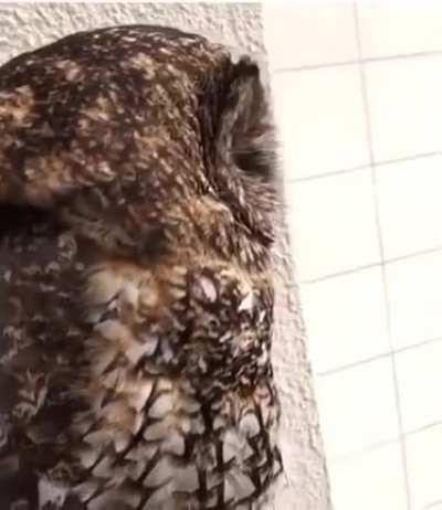 When you are doing hood rat shit and QA sneaks up on you...