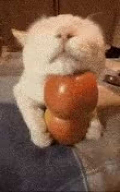 THHBBBBB BVVAVABJSSK 😡😡😡😡😡😡😡😡😡NNNNNNNNNNNNNNNNN G RRRRRRR 😡😡😡😡😡😡😡