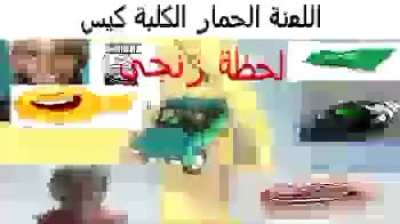 nigga car driving in pakistan