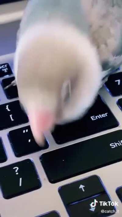 Never write a paper again in your life!