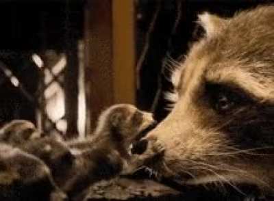 Lord rocket players  seeing agent rockets they’re going to be called every slur under the sun