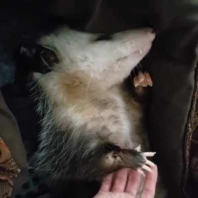 Those little hands ...