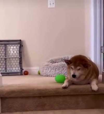 i can relate with fat booboo