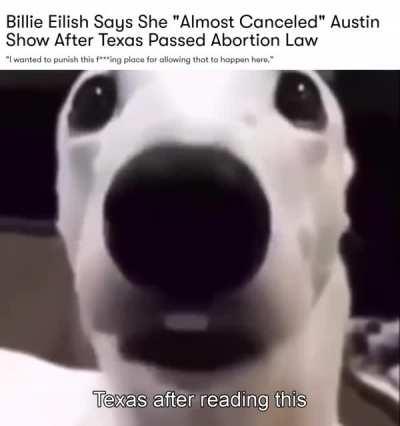 they do be shivering