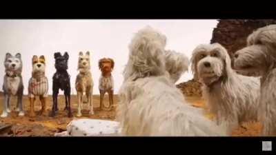 Meat is back on the menu boys!