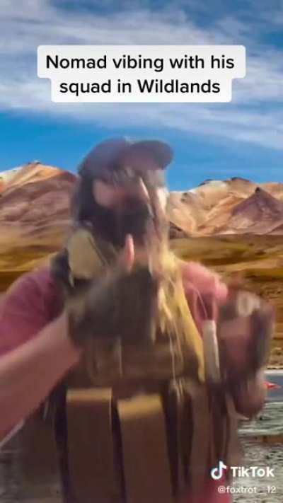 I found this pretty funny