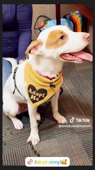 Totally Hits Nashville 93.3FM. Woody & Jim In The Morning Show. 'Wet Nose Wednesday'. October 28th 2025