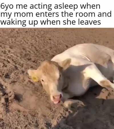 hid the ds under my pillow