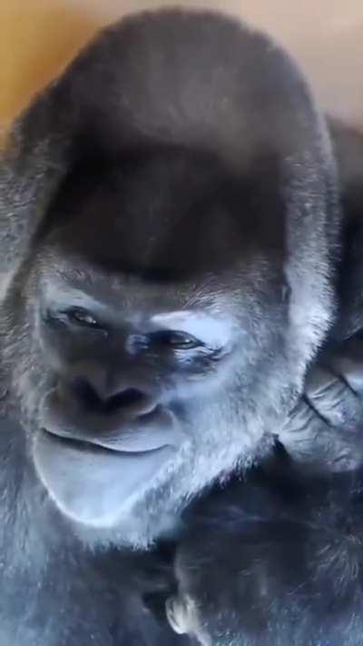 I bet he just farted