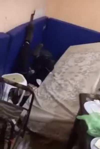 WCGW trying to jump over the table in the room