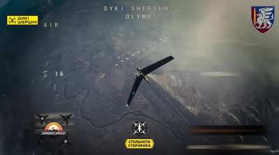 The FPV drone of the Horizon group operators of the 81st OAIB brigade hit Zala. March 2025, somewhere in the airspace.