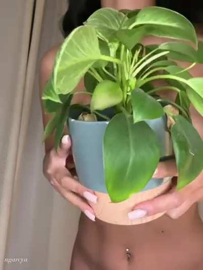 wanna see what’s behind my bush?