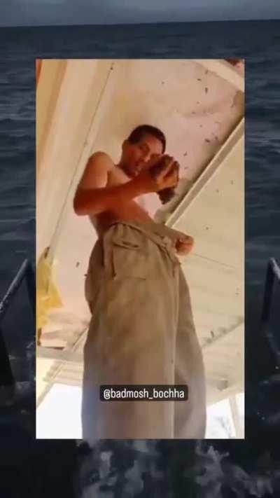 Last option.....💀