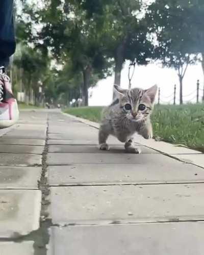 I was told this might belong here