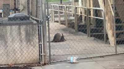 Physical altercation near Embarcadero