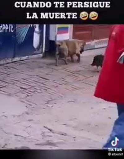 Cuando ya tienes un pie en la tumba...